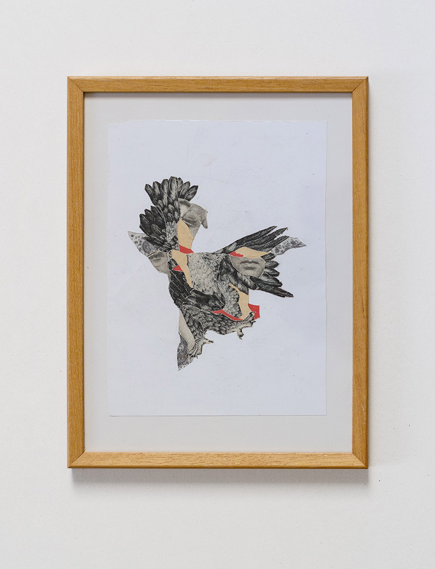 Deutscher Adler und Gesicht - abstrakte und moderne Collage Kunst von Markus Wülbern